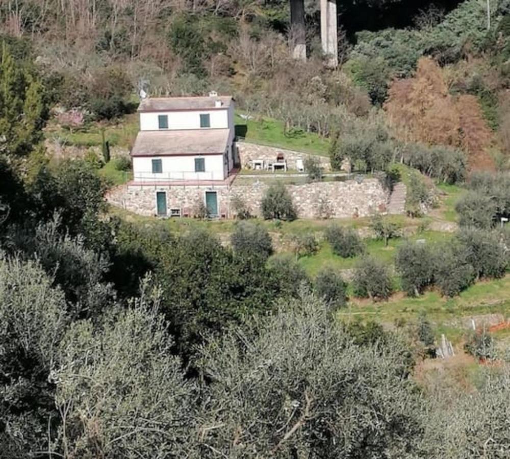 Villa Teca & Succo - Nature E Relax Sestri Levante Exterior foto